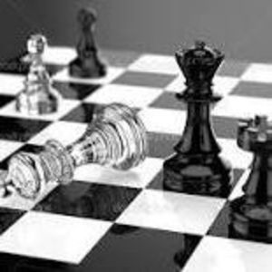 Meet your Posher, Steve